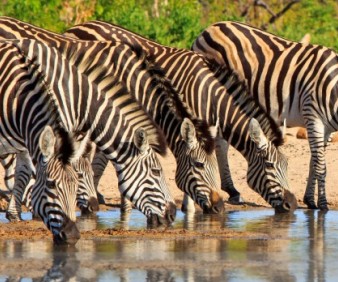 Zimbabwe travel and tours
